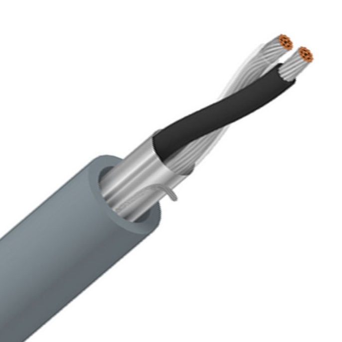 CA028  BELDEN 8761 二芯 (1 對雙絞線) 22 AWG