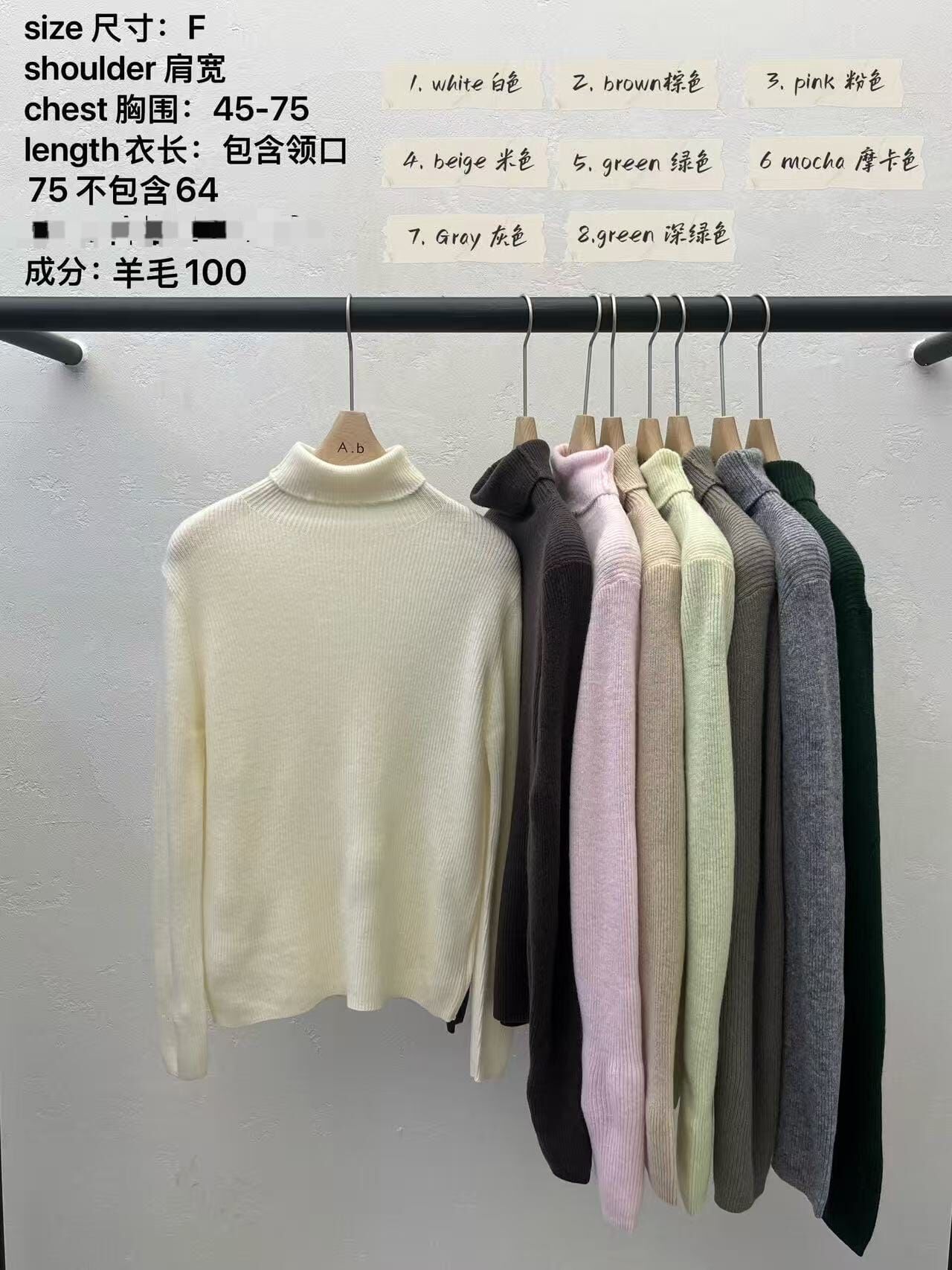 AB5336 純羊毛簡約高領針織上衣