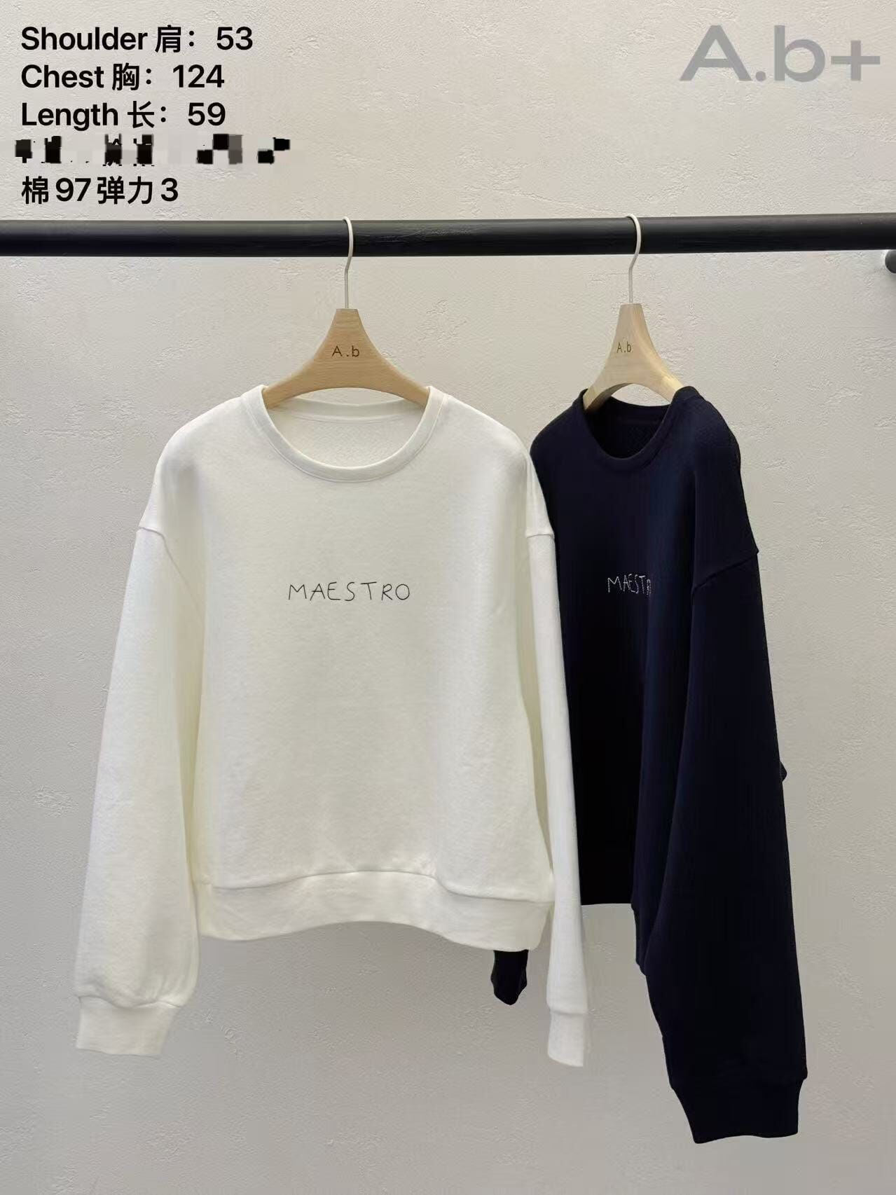 ABB5317 刺繡字母衛衣