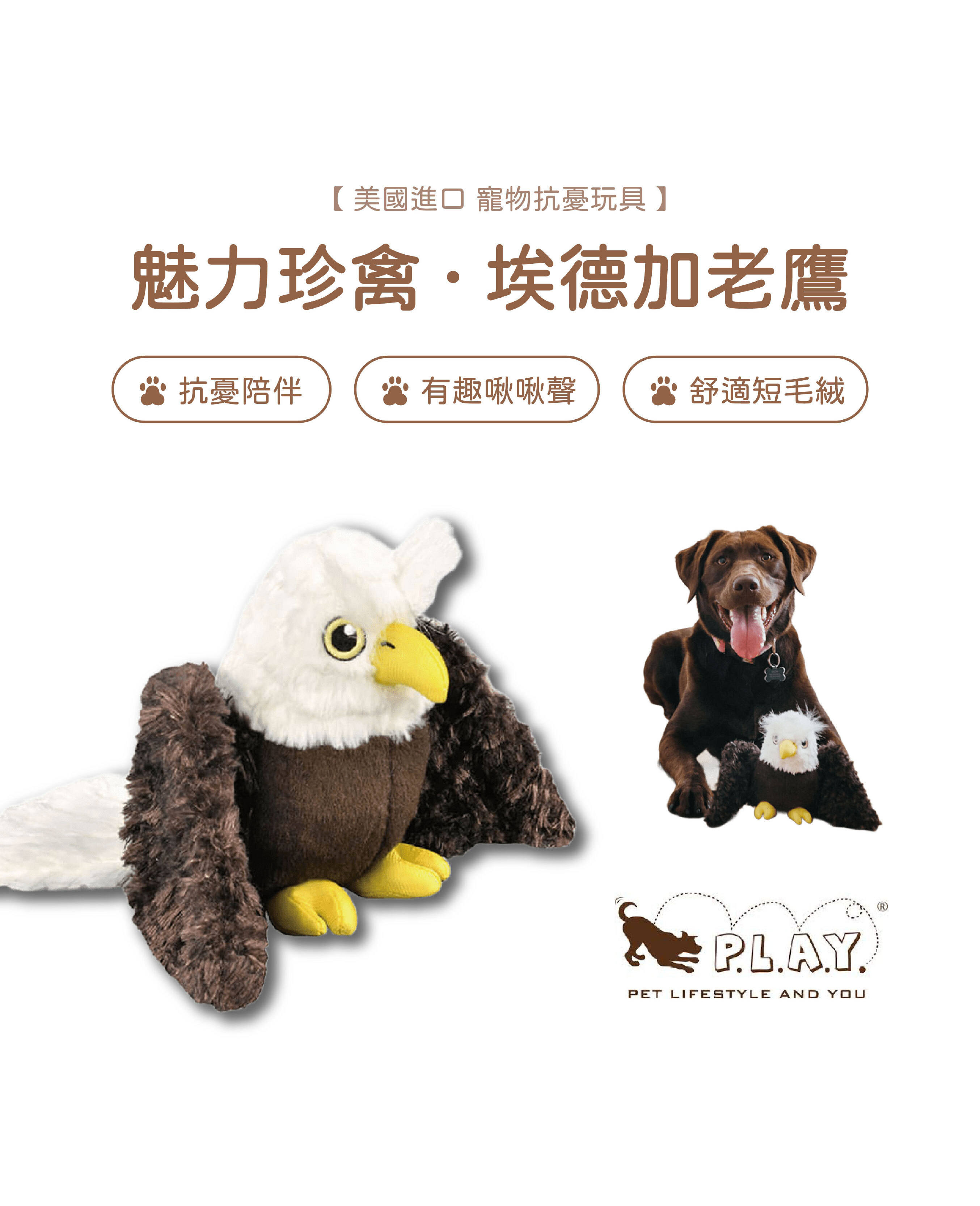 【寵物陪伴、抗憂鬱玩具】P.L.A.Y. 魅力珍禽-埃德加老鷹