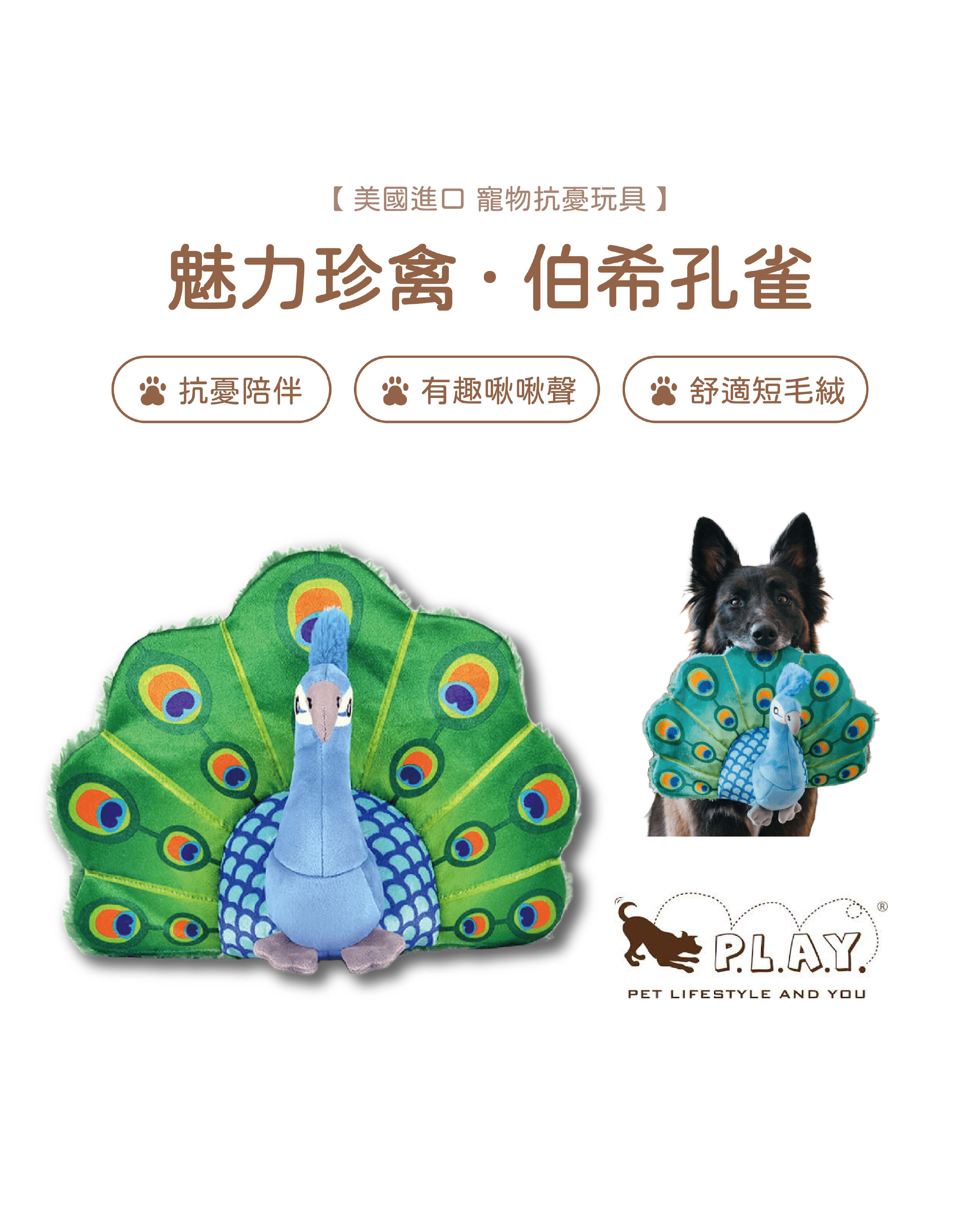 【寵物陪伴、抗憂鬱玩具】P.L.A.Y. 魅力珍禽-伯希孔雀