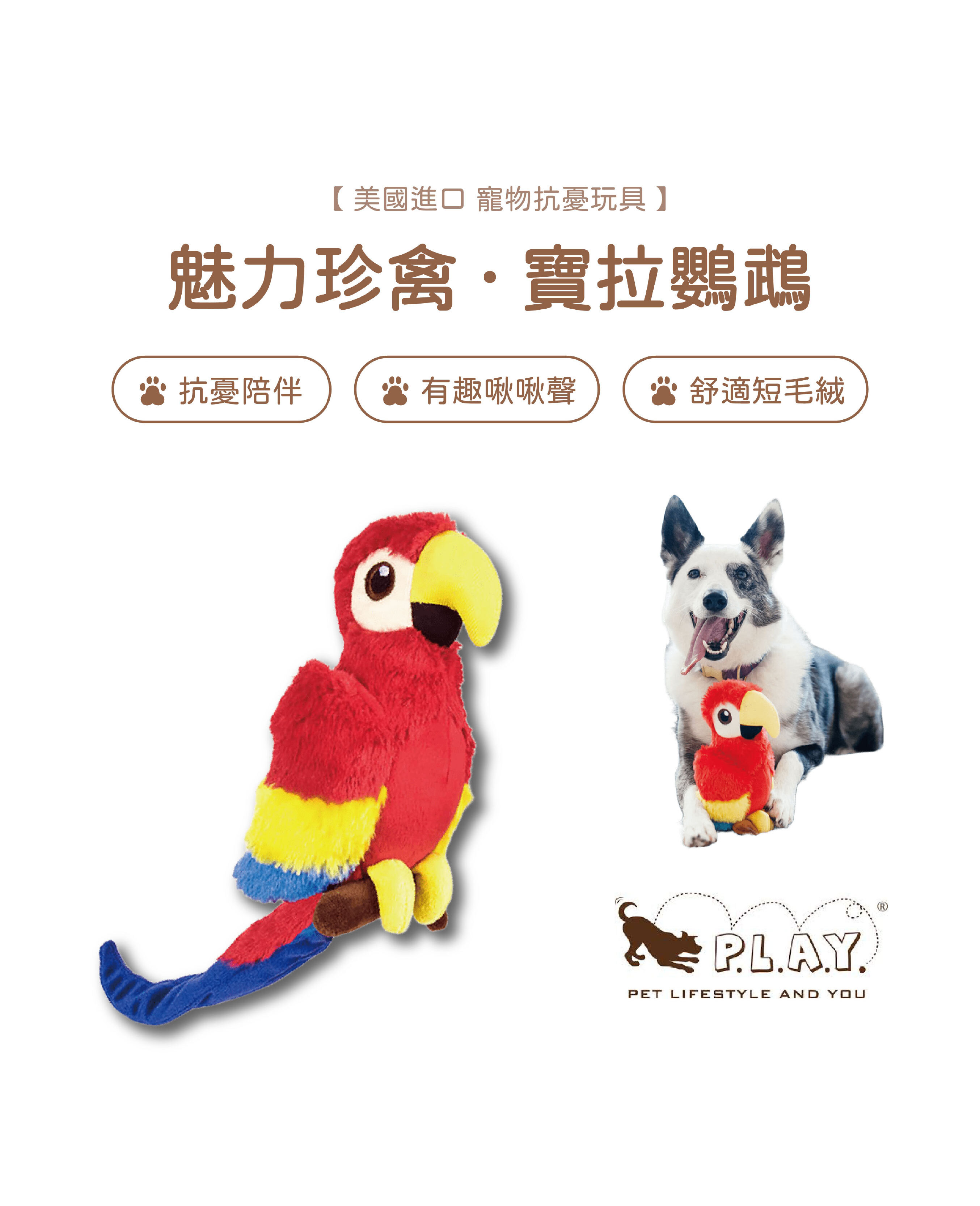 【寵物陪伴、抗憂鬱玩具】P.L.A.Y. 魅力珍禽-寶拉鸚鵡