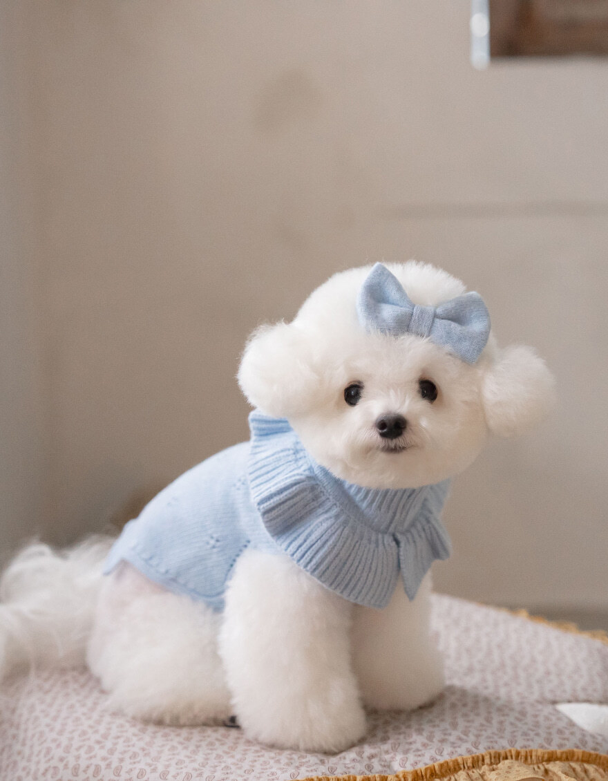 OPAAAP 花領針織毛衣_天藍