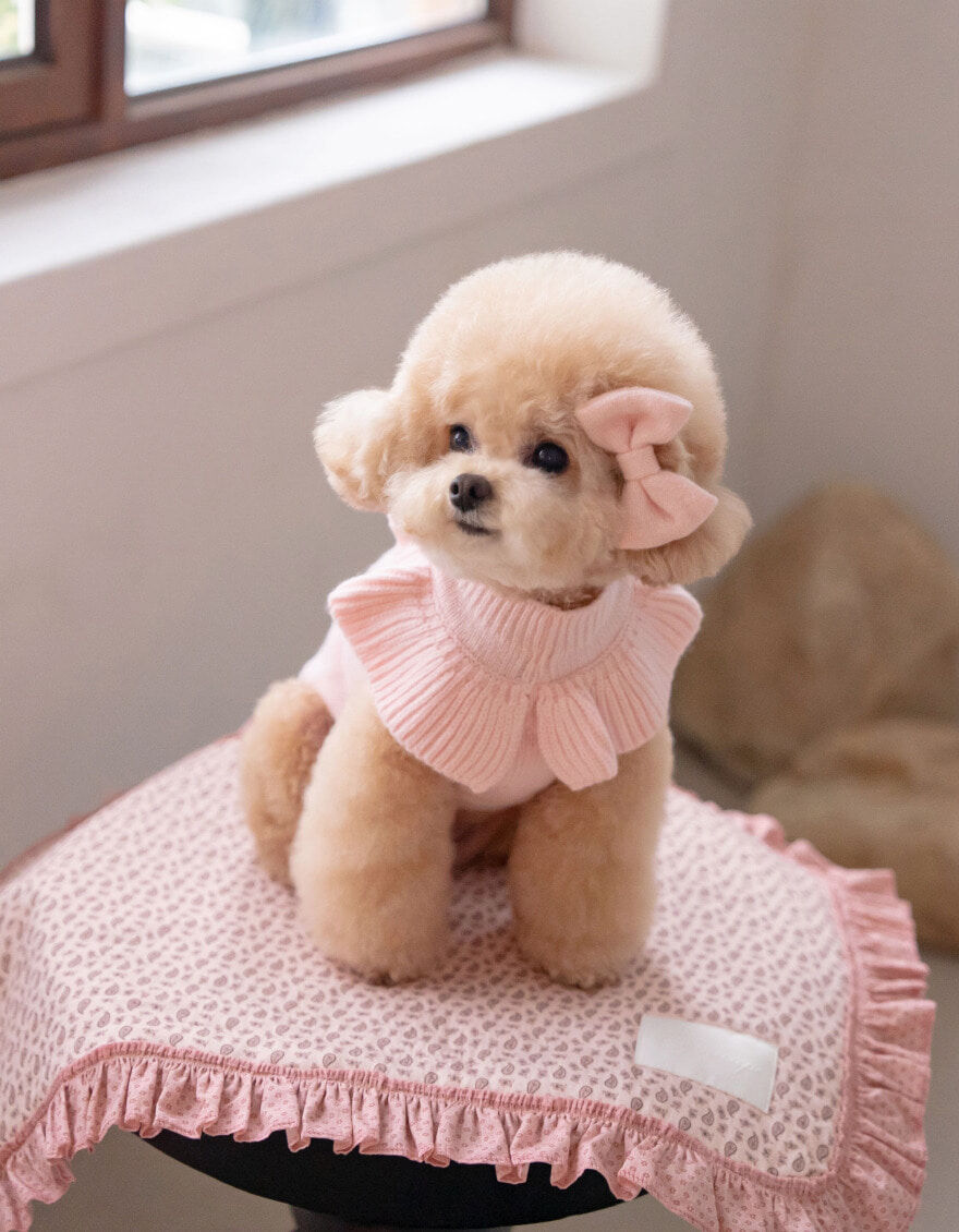 OPAAAP 花領針織毛衣_草莓粉