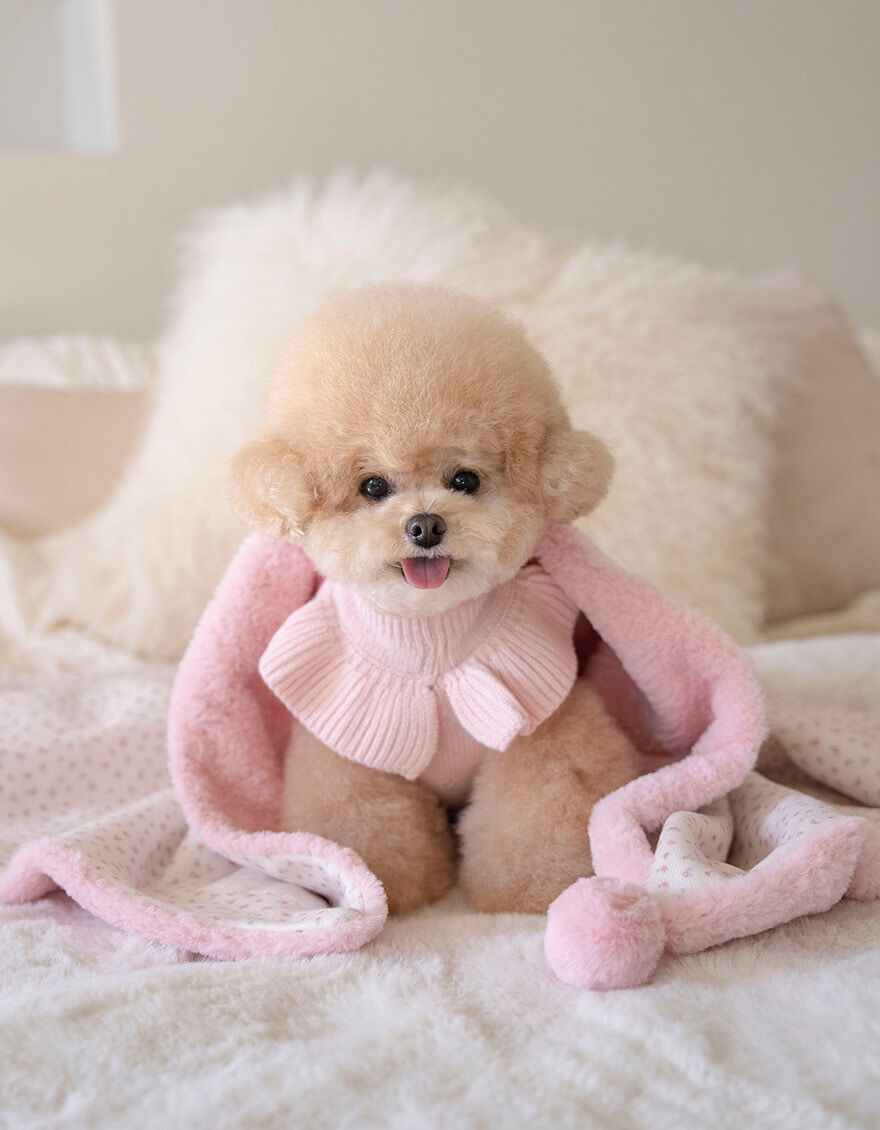 OPAAAP 冬日抱抱毛毛毯_糖果粉