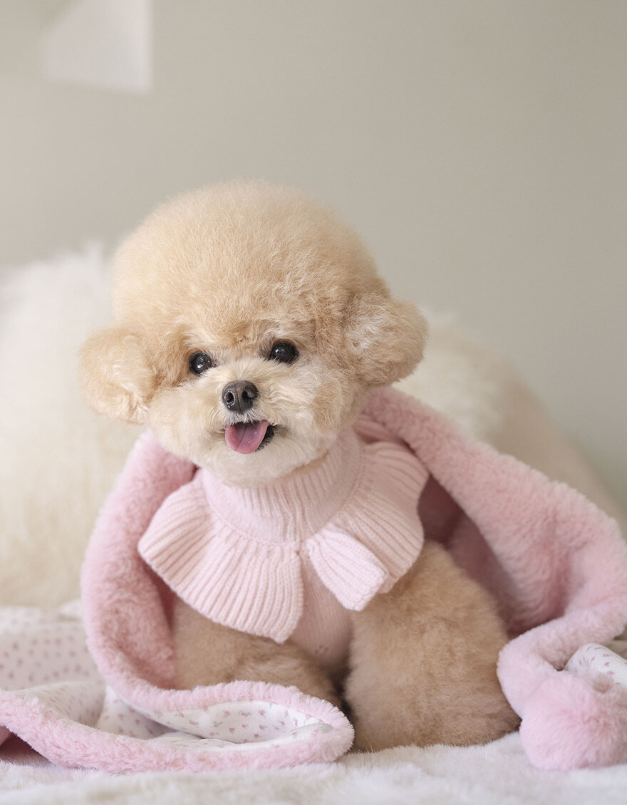 OPAAAP 冬日抱抱毛毛毯_糖果粉