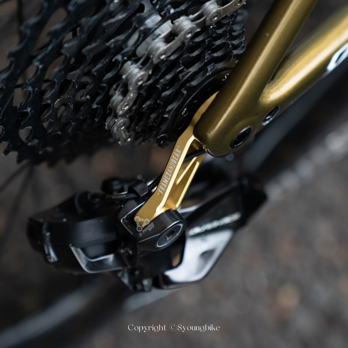 現貨+預購【Framesandgear】直鎖式後變勾爪 / 共10色（多款車款型號、UDH）