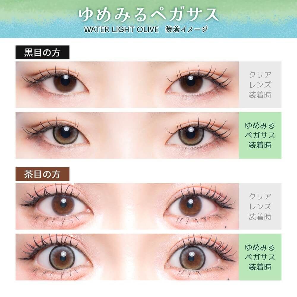 Flurry 1 Day (Water Light Olive) (10P)