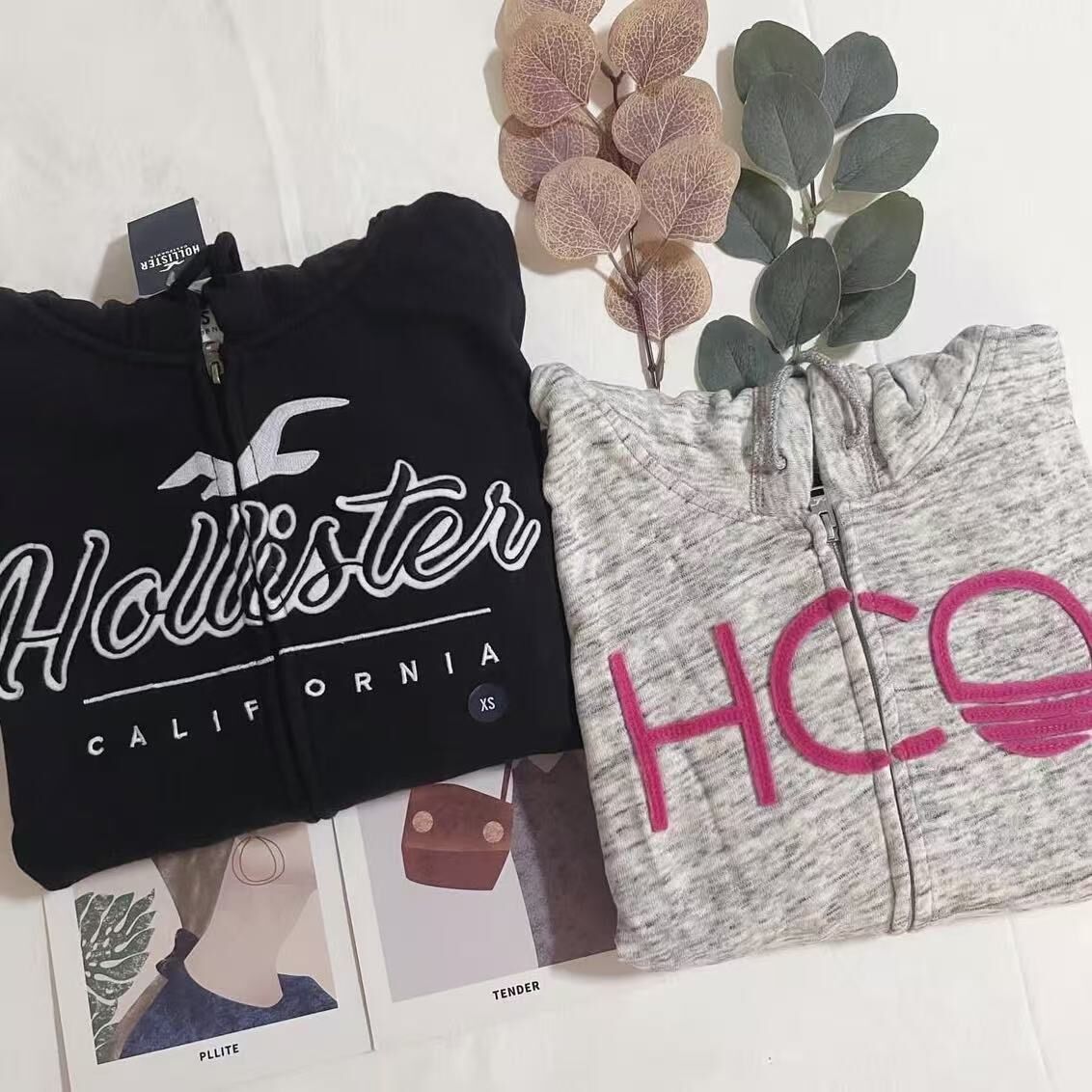 女裝款HOLLISTER LOGO ZIPUP HOODIES