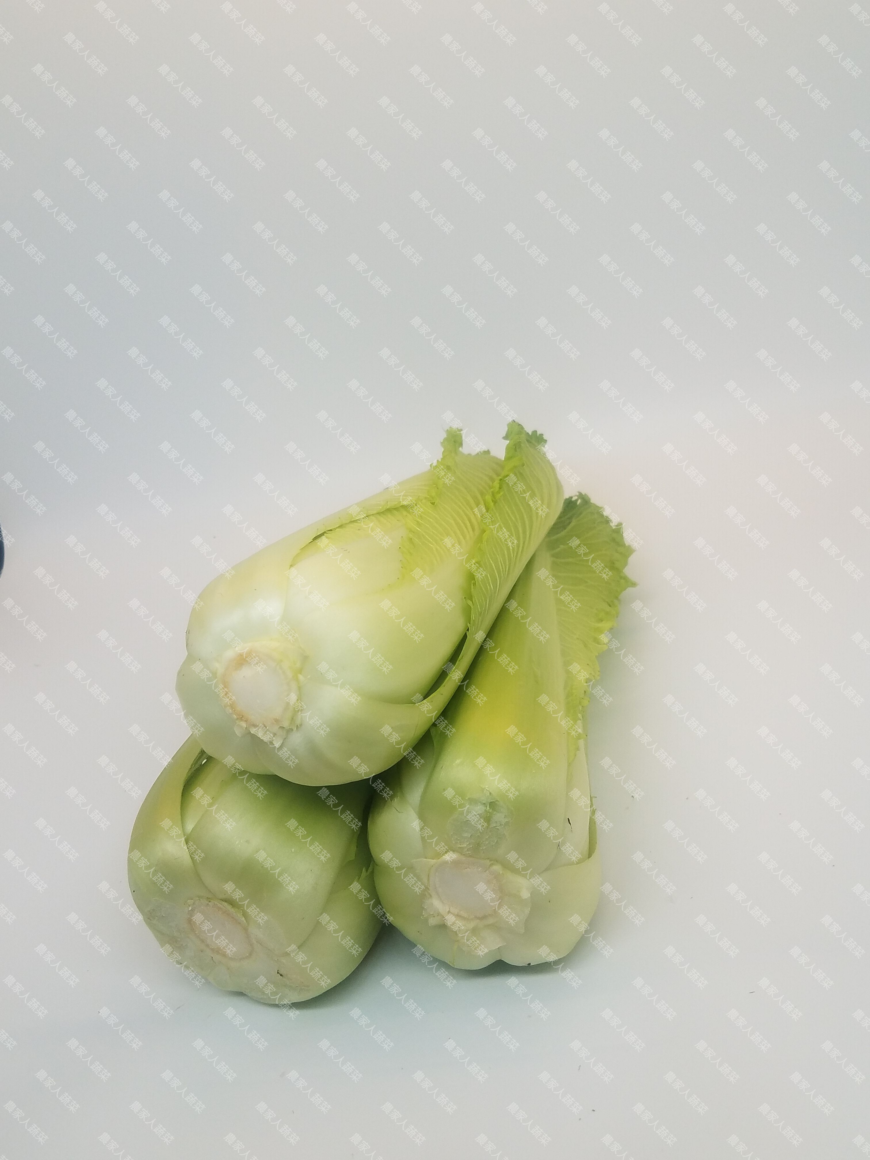 龍牙白（約500克）