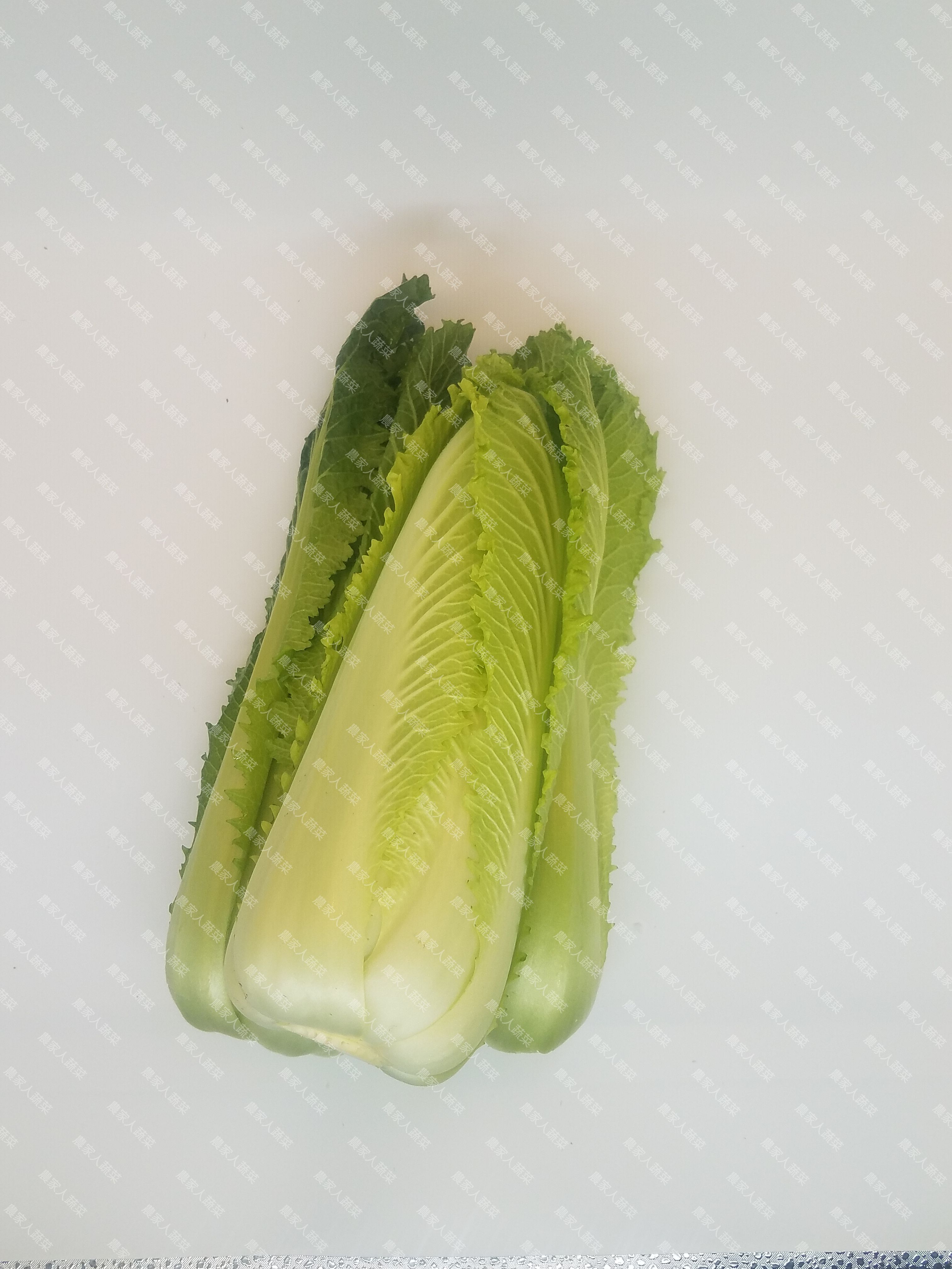 龍牙白（約500克）