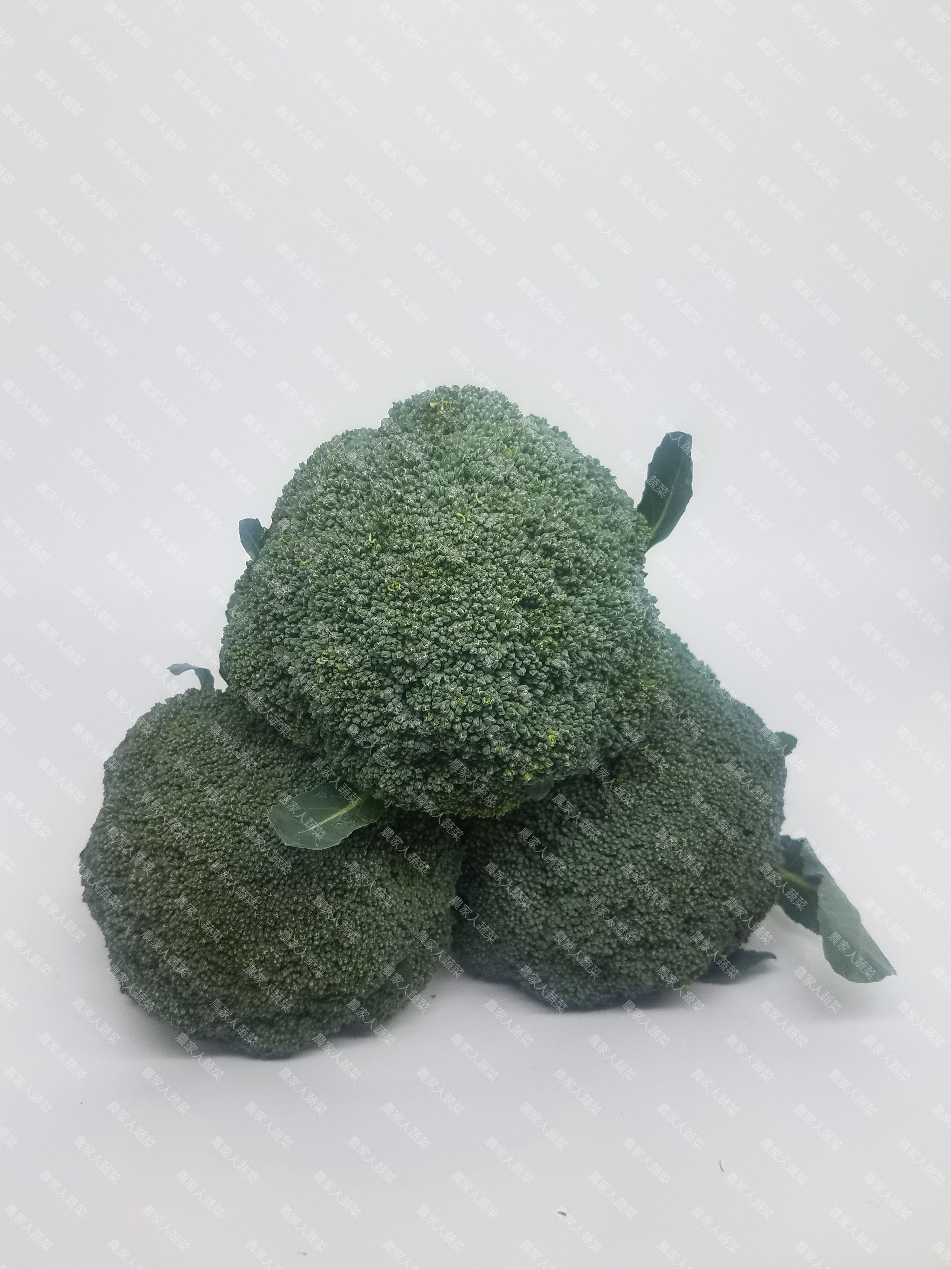 （幼花）澳洲種西蘭花（約500克/個）