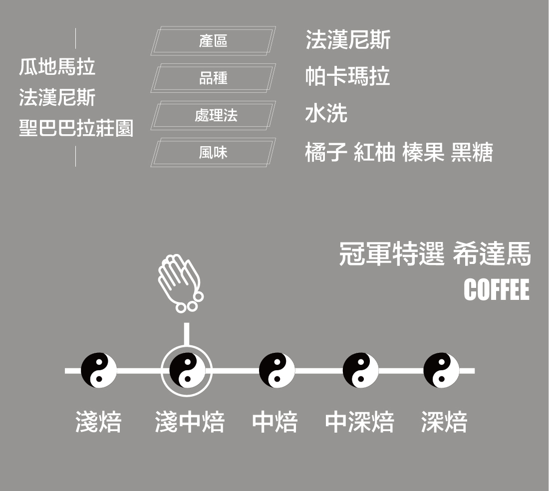 瓜地馬拉 法漢尼斯 聖巴巴拉莊園 帕卡瑪拉 水洗淺中焙