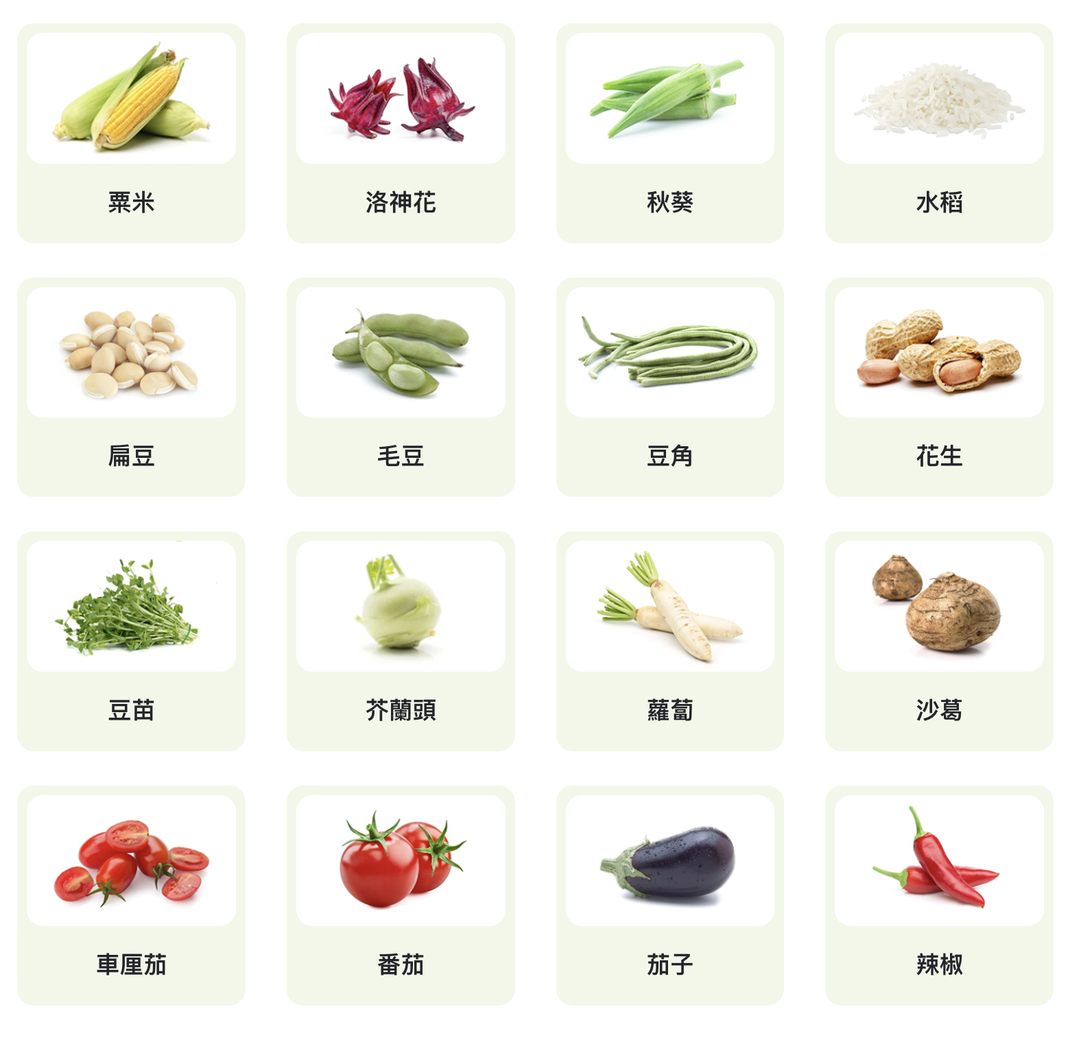 Healthy Express - Seeds - Summer