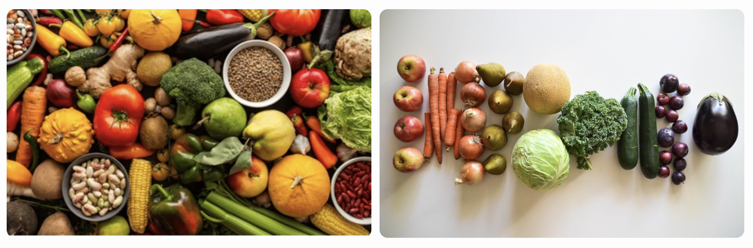 冬天種子簡單介紹