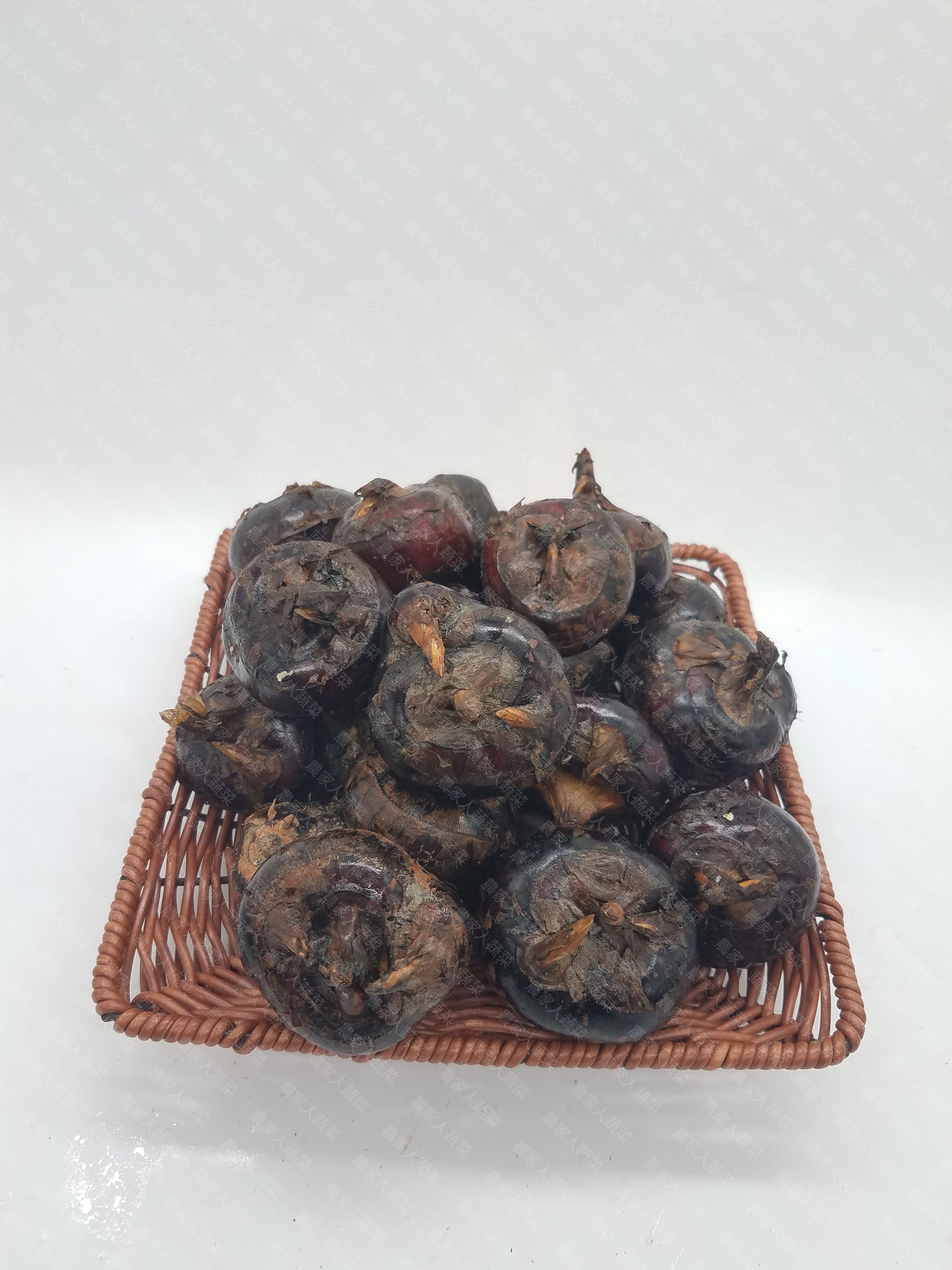 特大粒馬碲（約300克）