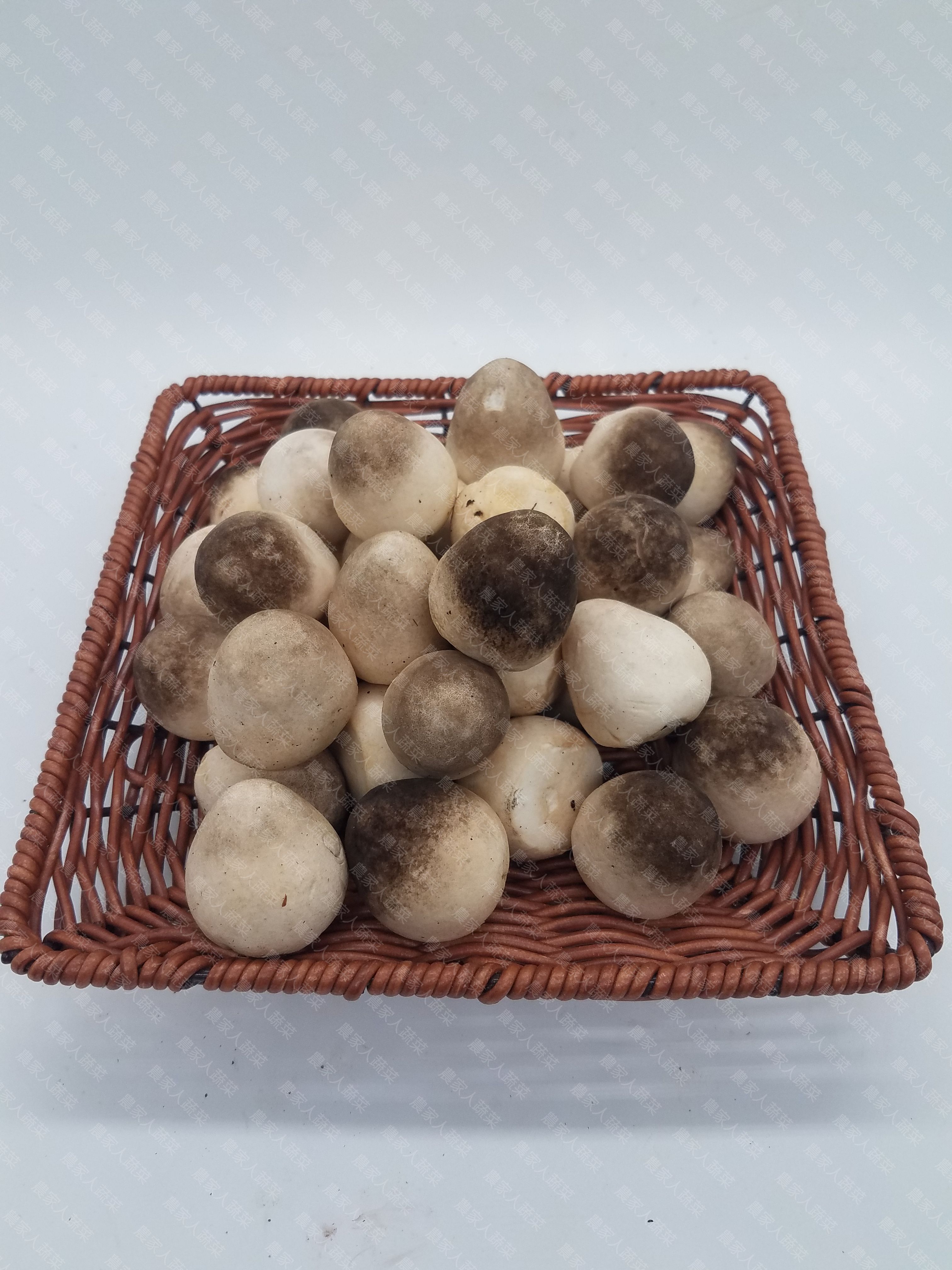 草菇（約300克）