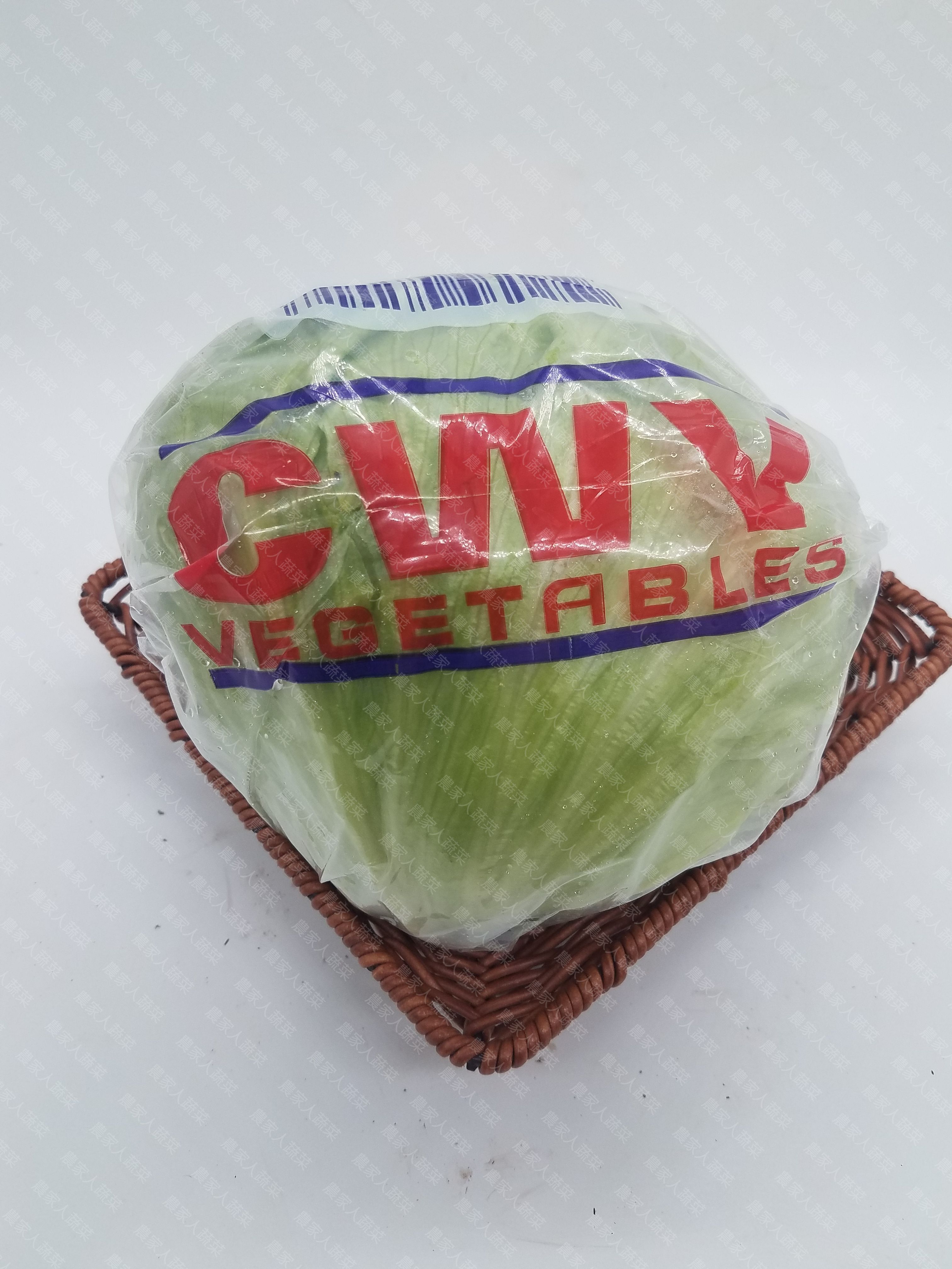 西生菜（美國種子）