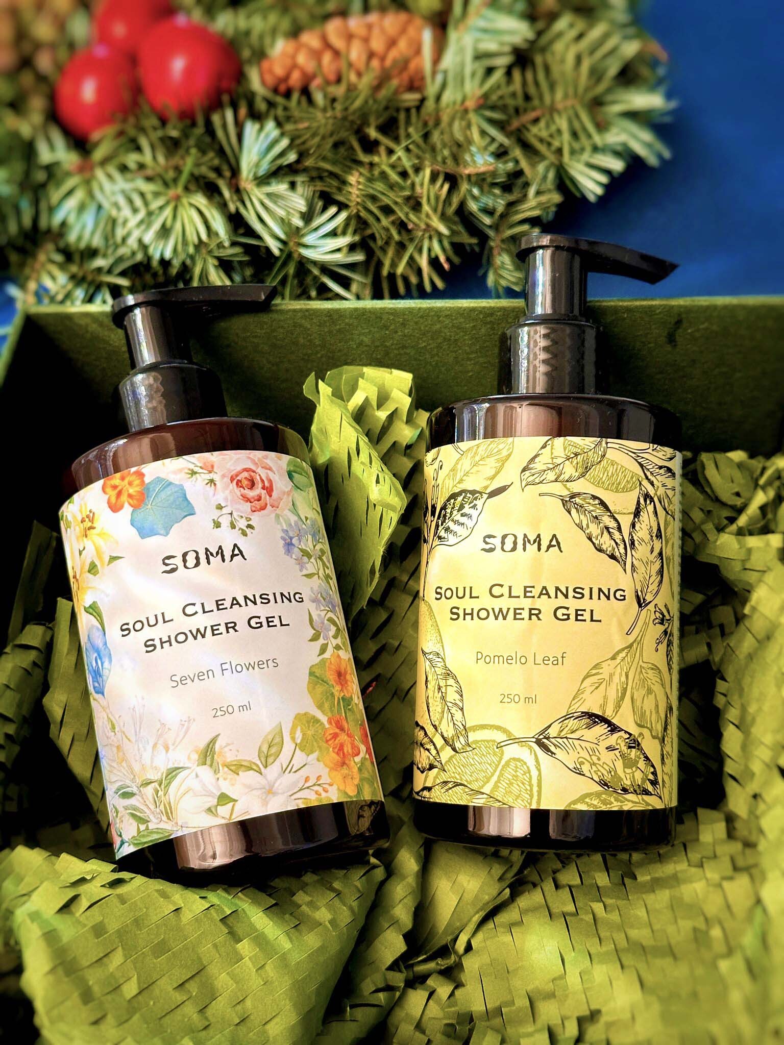 能量淨化 🎁 盒子