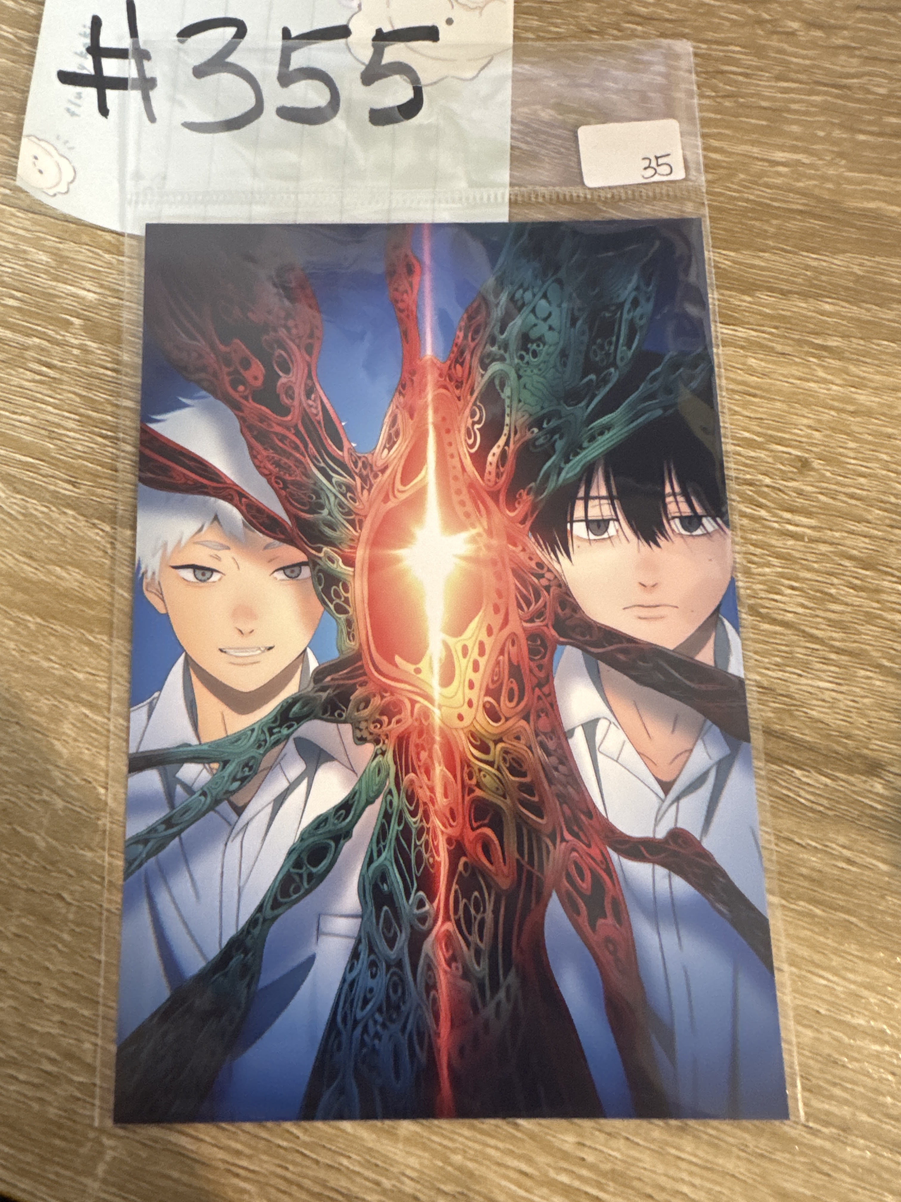 光逝去的夏天 2人 明信片#355