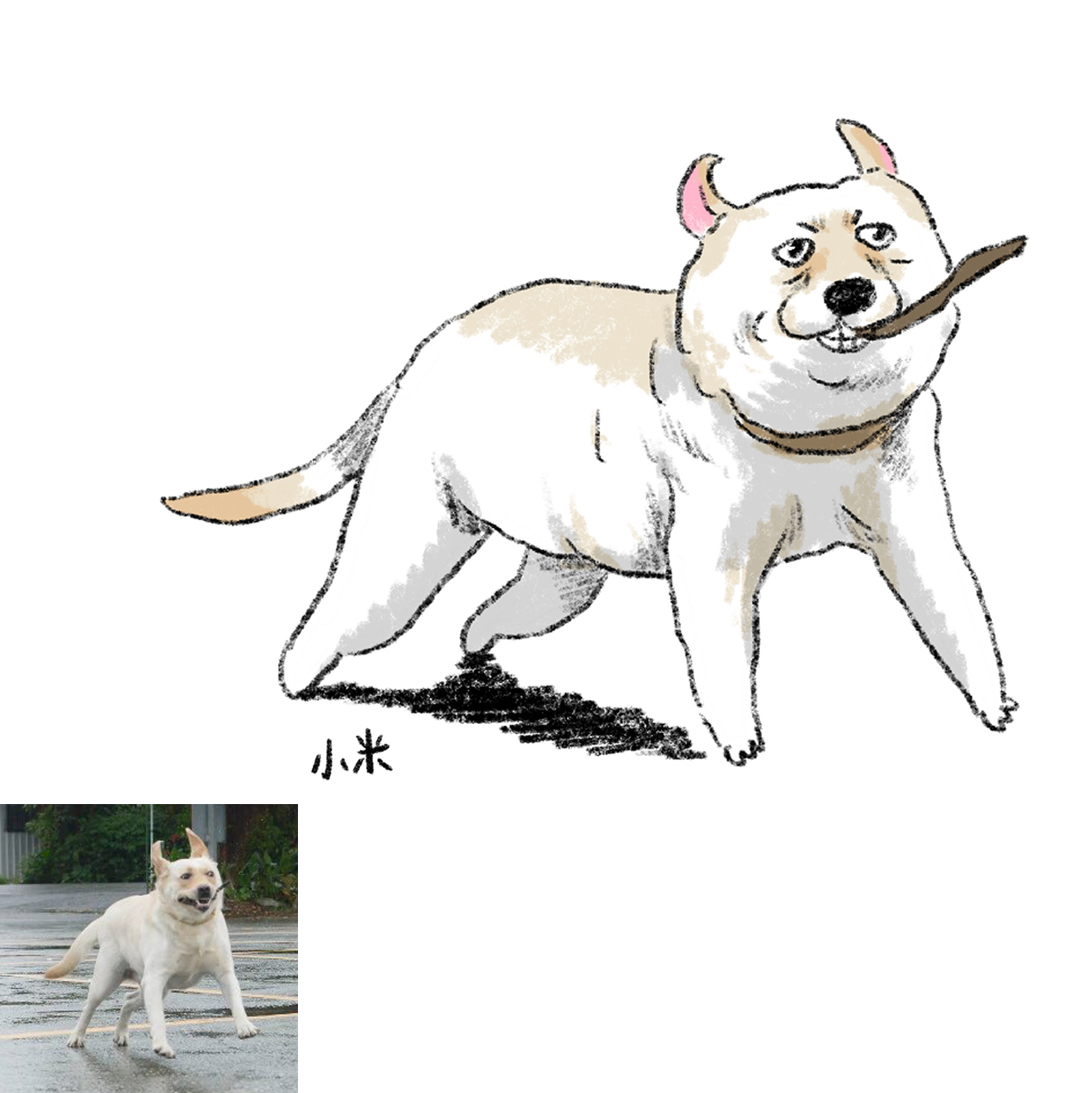 【ehcat貓室友】動物似顏繪 (電子檔) 【非貓咪似顏繪】