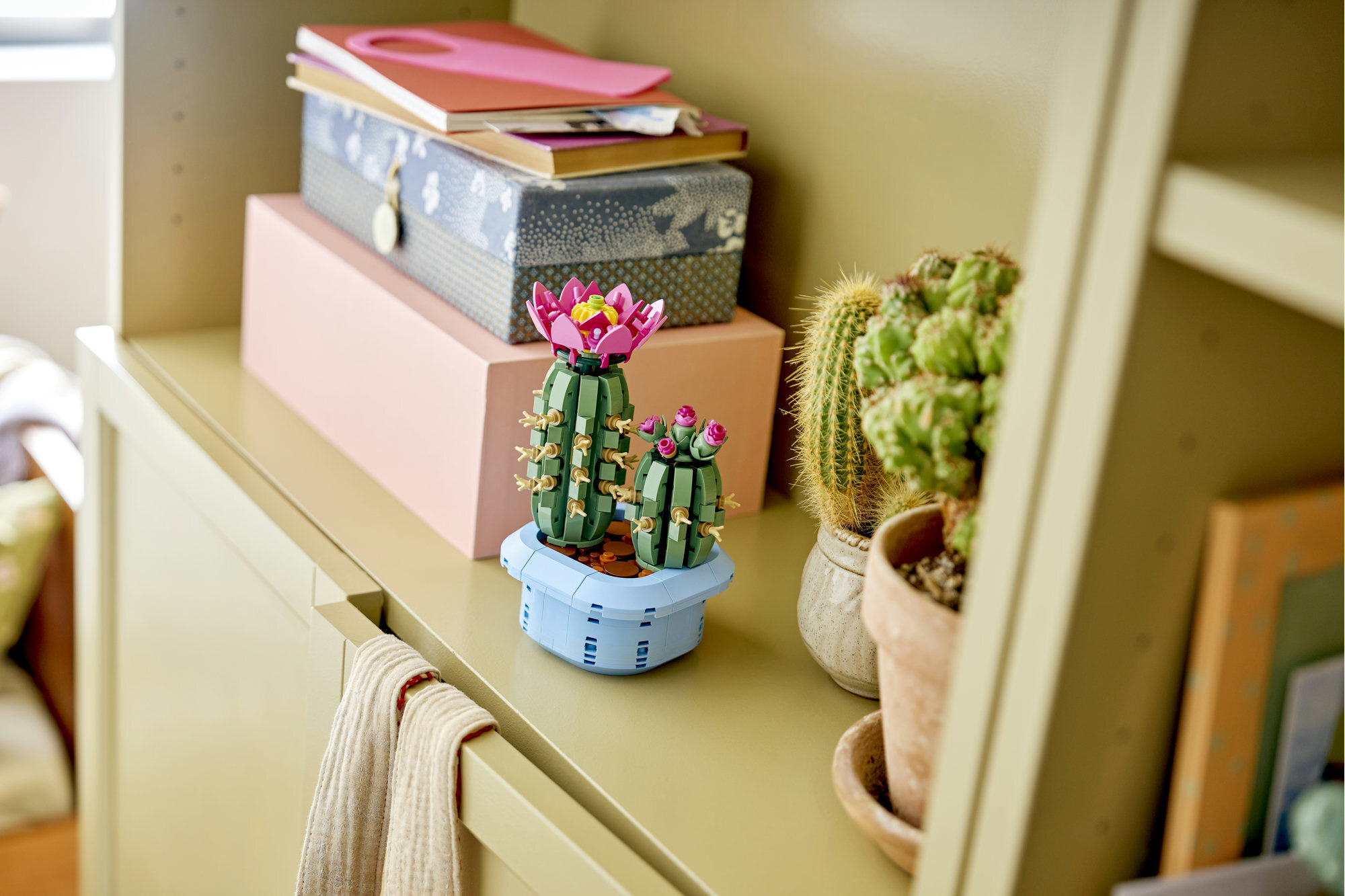 11509 開花仙人掌Botanicals