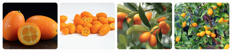 kumquats