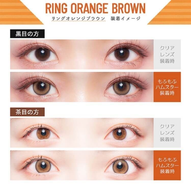 Flurry 1 Day (Ring Orange Brown) (10P)