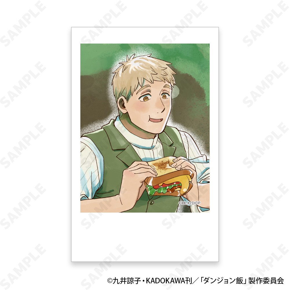 「ACG.GO」「預購」D-techno 迷宮飯 相卡SET