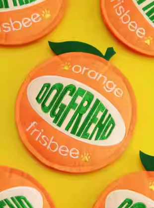 橘子互動飛盤磨牙玩具