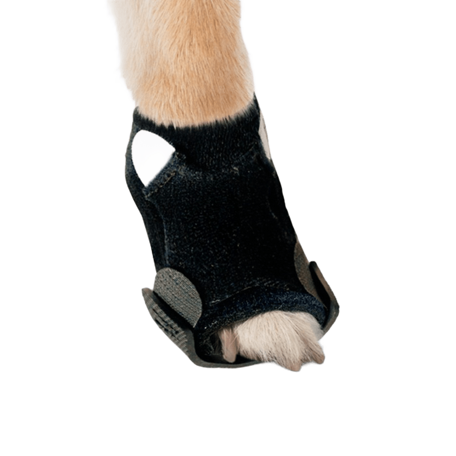 anifull 愛犬護足-露趾型