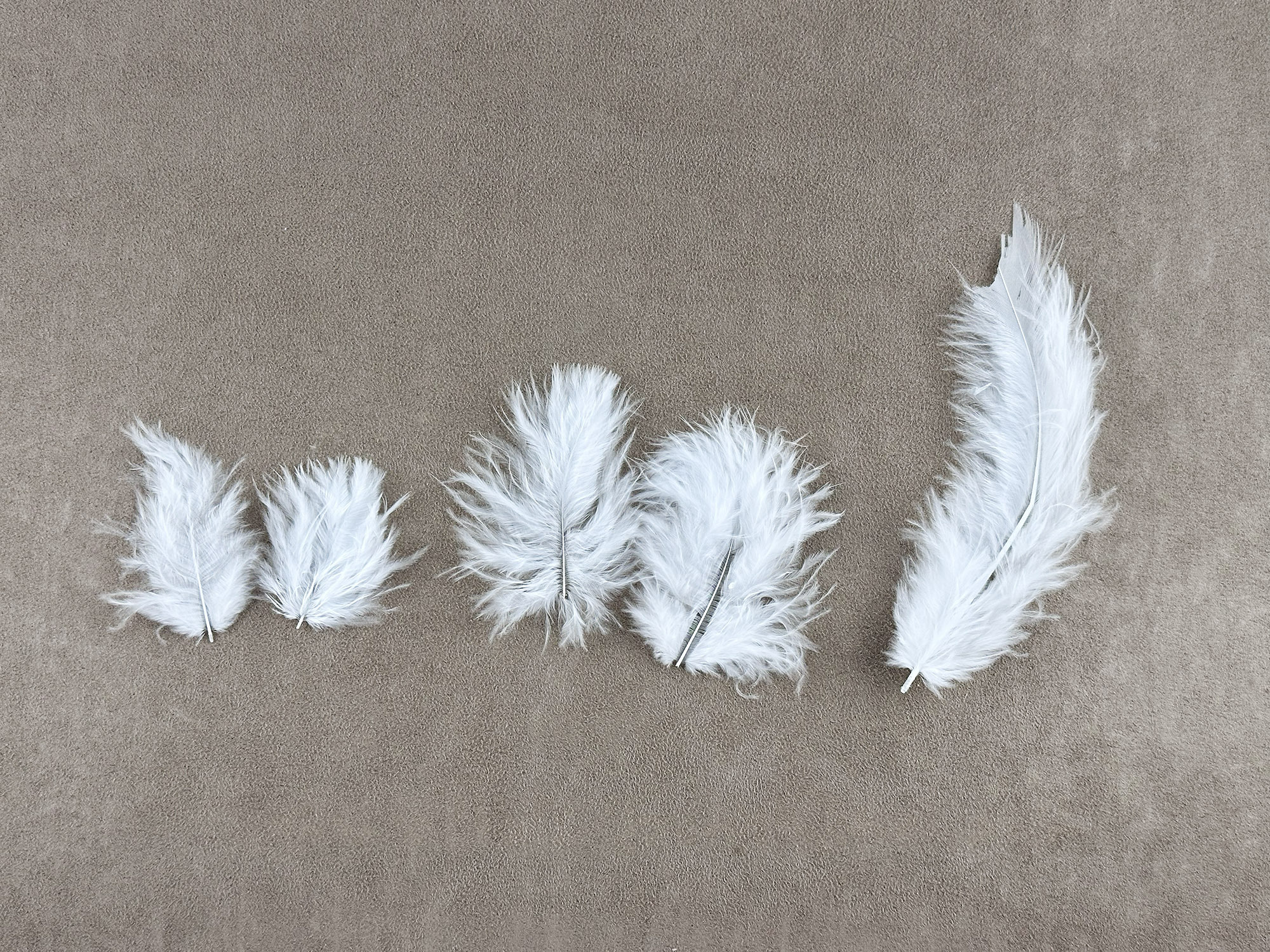 頂級馬拉布羽毛_3種尺寸 天然羽毛 歐洲進口