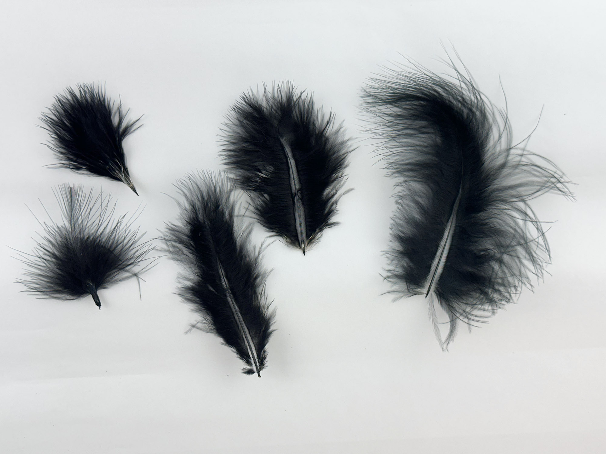 頂級馬拉布羽毛_3種尺寸 天然羽毛 歐洲進口