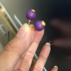 1216GZ30-合香GZ-內府悅容耳環 1對（A30）