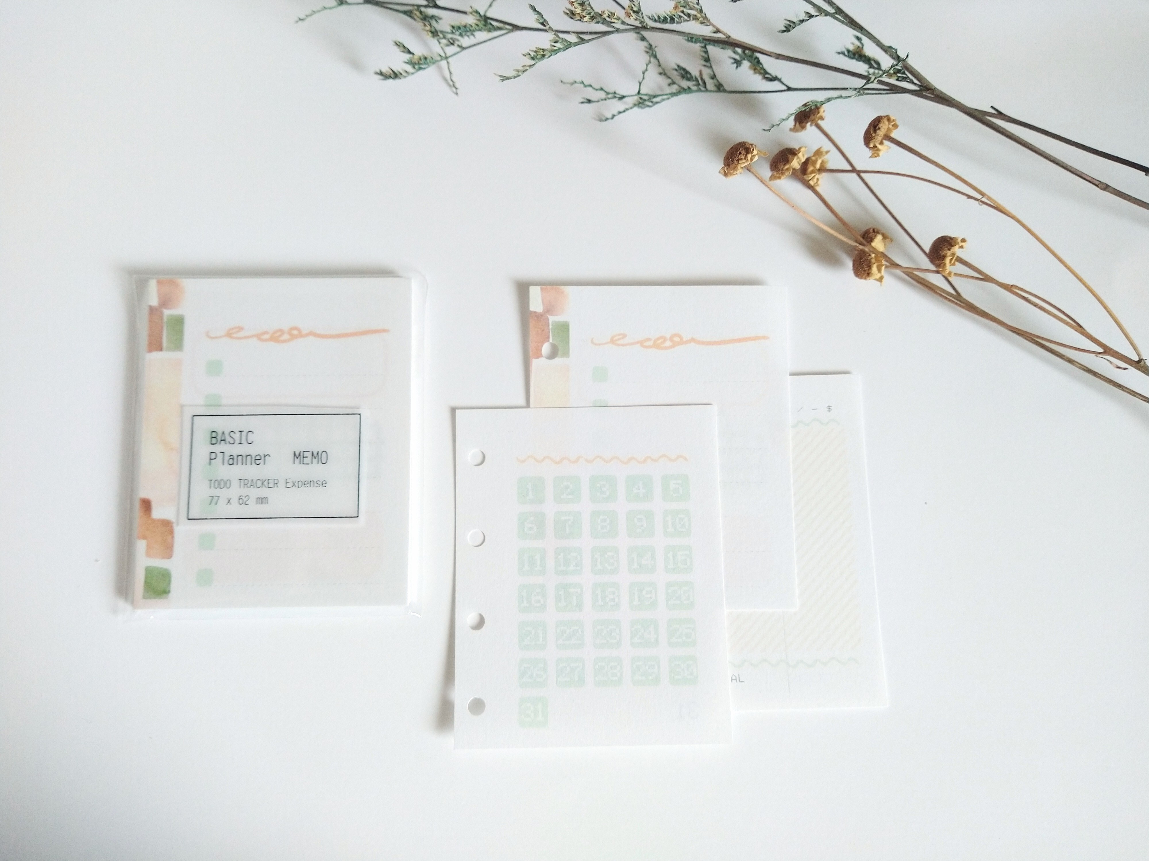無色綻放．M5手帳內頁 手帳便條紙 綠X橘