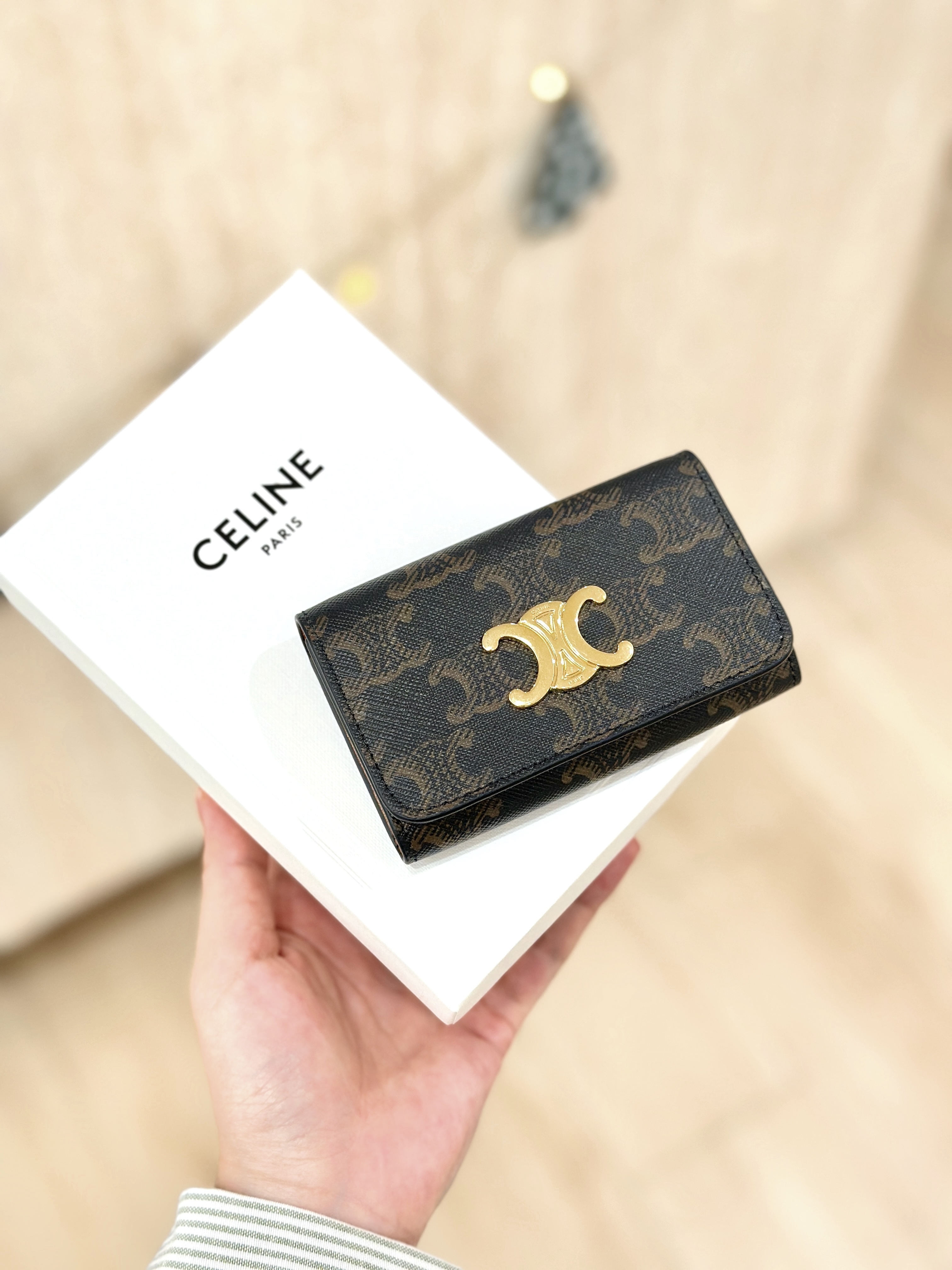 CELINE Triomphe Key Case