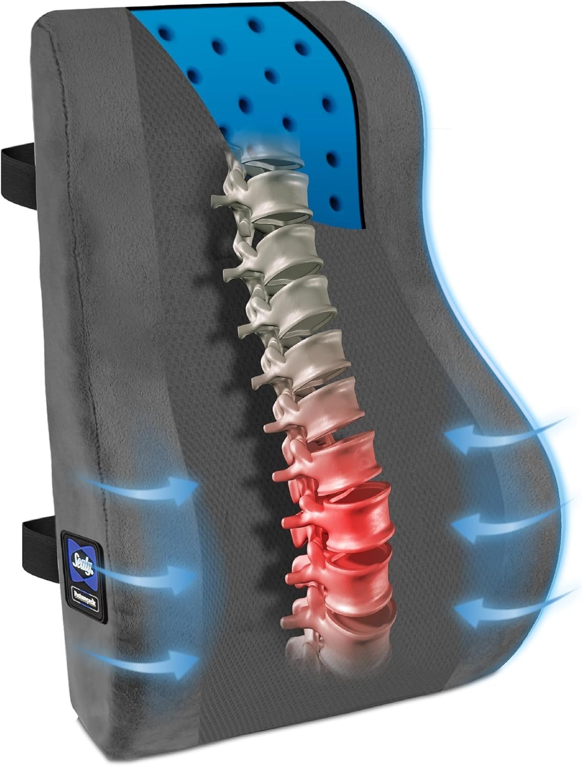 【預購】Q121508 Sealy 高背記憶棉腰部支撐枕
