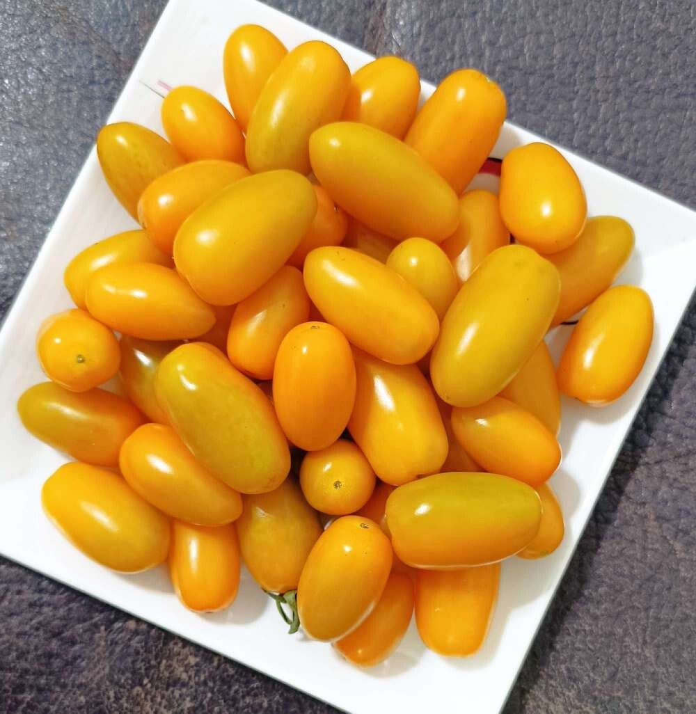 (限時限量)【人人好果園】美濃玉女小番茄 口感佳 味道美 甜度好 (多品種/規格)