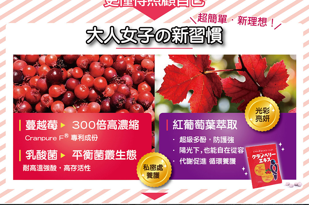 IKOR 私舒蔓 蔓越莓 益生菌 說明3