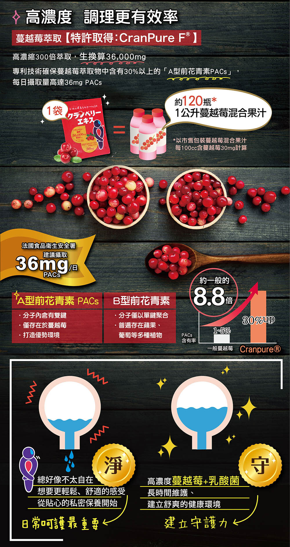 IKOR 私舒蔓 蔓越莓 益生菌 說明4