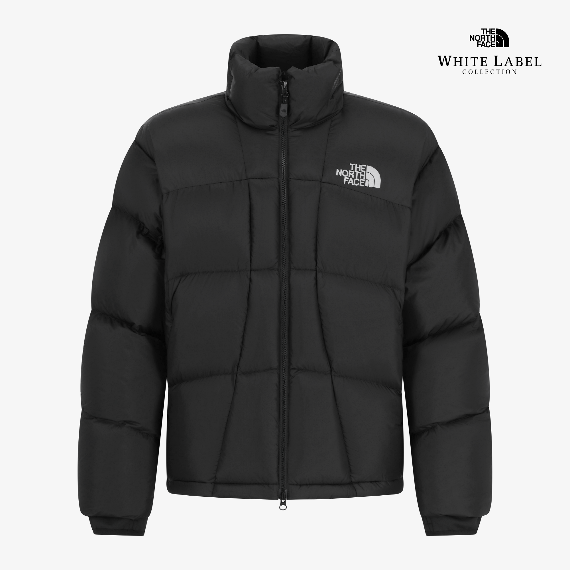 折扣預購┃韓國白標 THE NORTH FACE DURON DOWN JACKET 羽絨外套