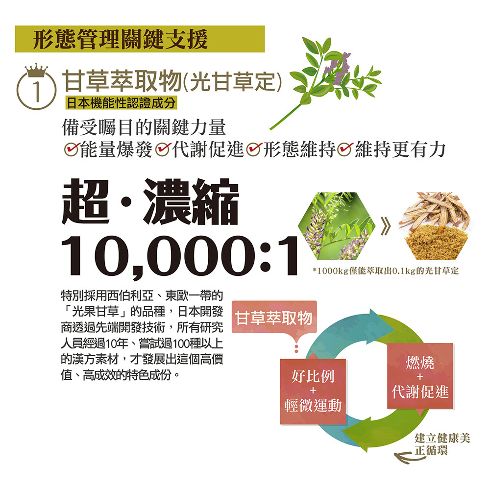 IKOR 極黑逆 綠原酸 兒茶素 說明圖5