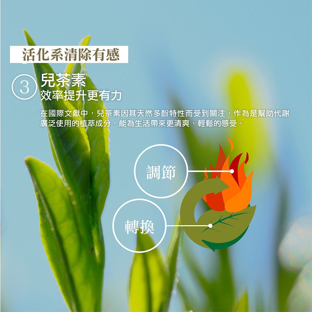 IKOR 極黑逆 綠原酸 兒茶素 說明圖7