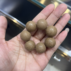 1216GZ81-合香GZ-通鼻指捻 18 1條（A81）