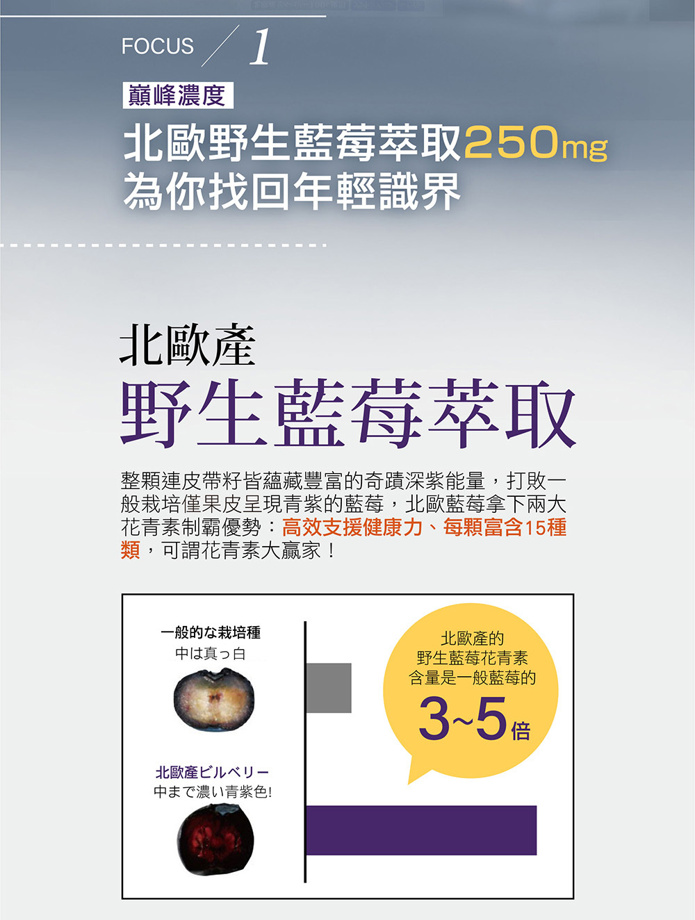 IKOR 識明潤 花青素 葉黃素 說明圖7