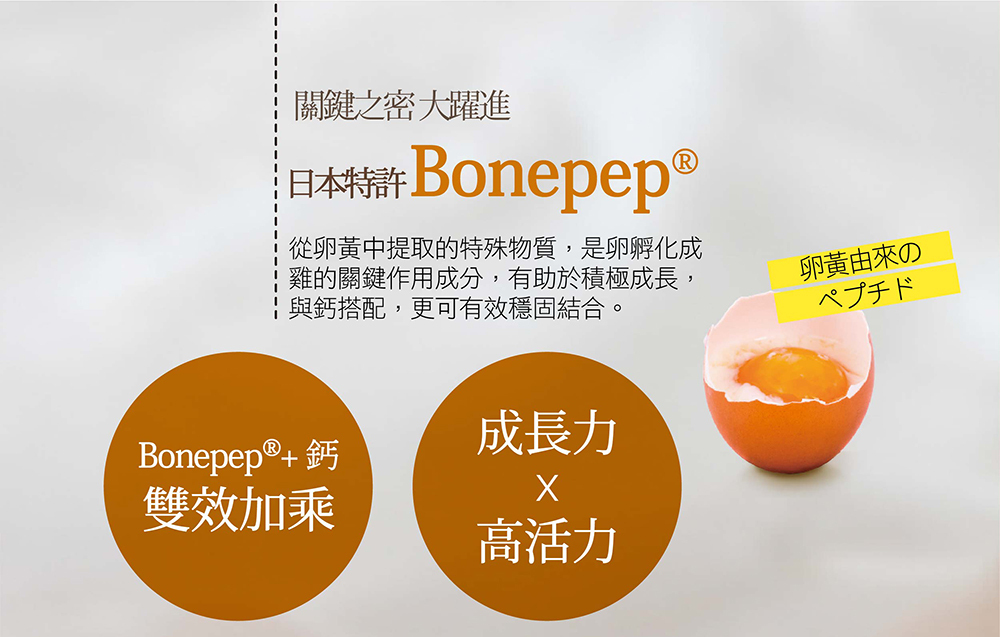 IKOR 每日鈣活 鈣 bonepep 說明簡圖8