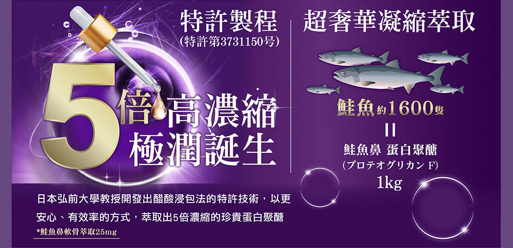 IKOR DX 極美秘戀 蛋白聚醣 魚膠原蛋白 胜肽 4