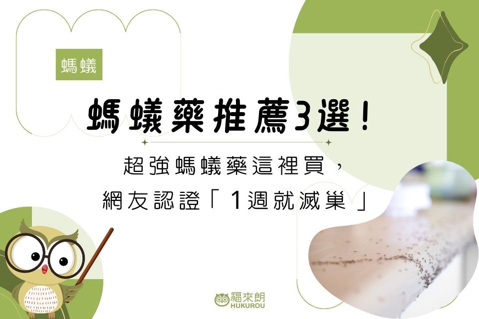 螞蟻藥推薦3選!超強螞蟻藥這裡買,網友認證「1週就滅巢」