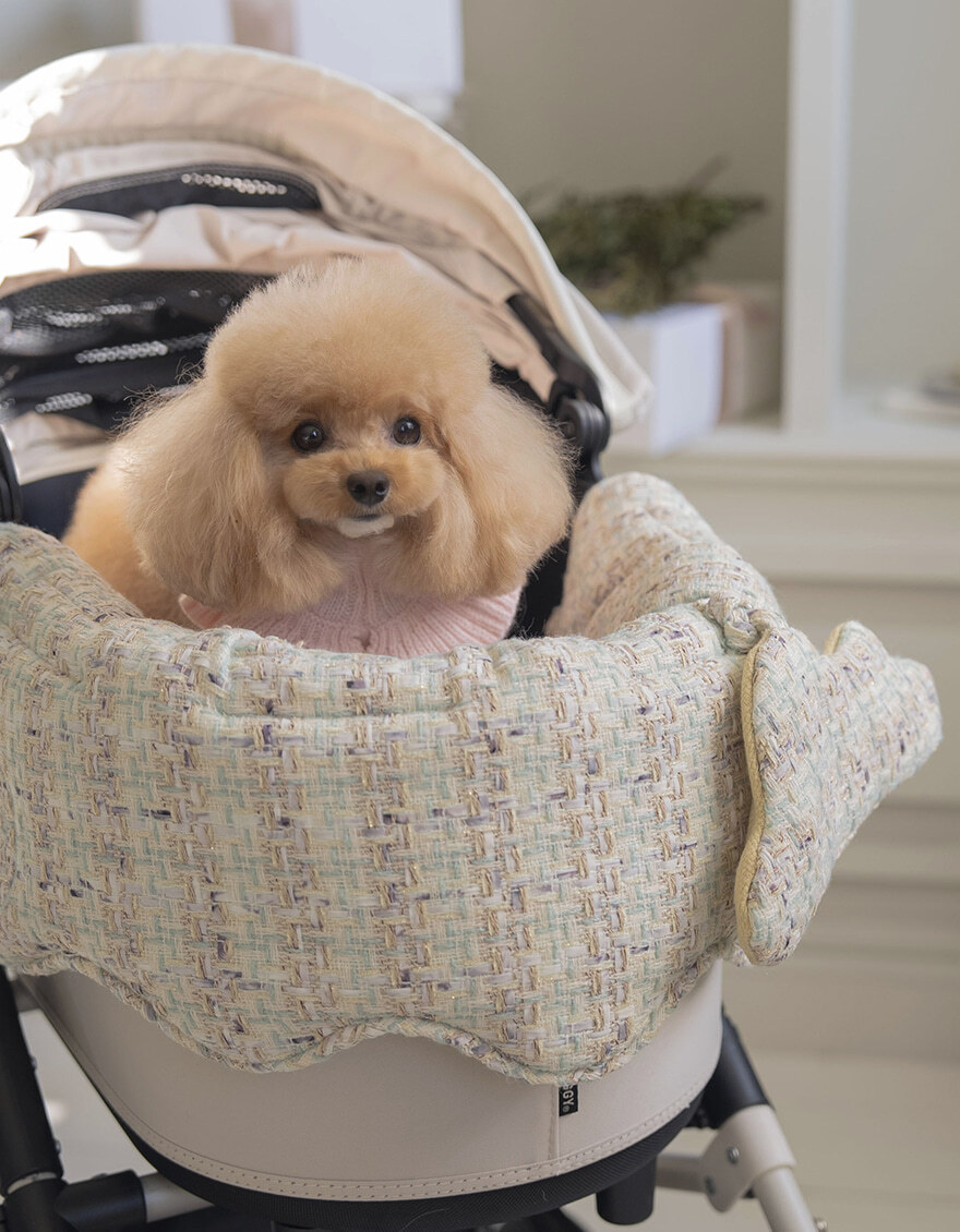 OPAAAP 小香風毛呢車圍片