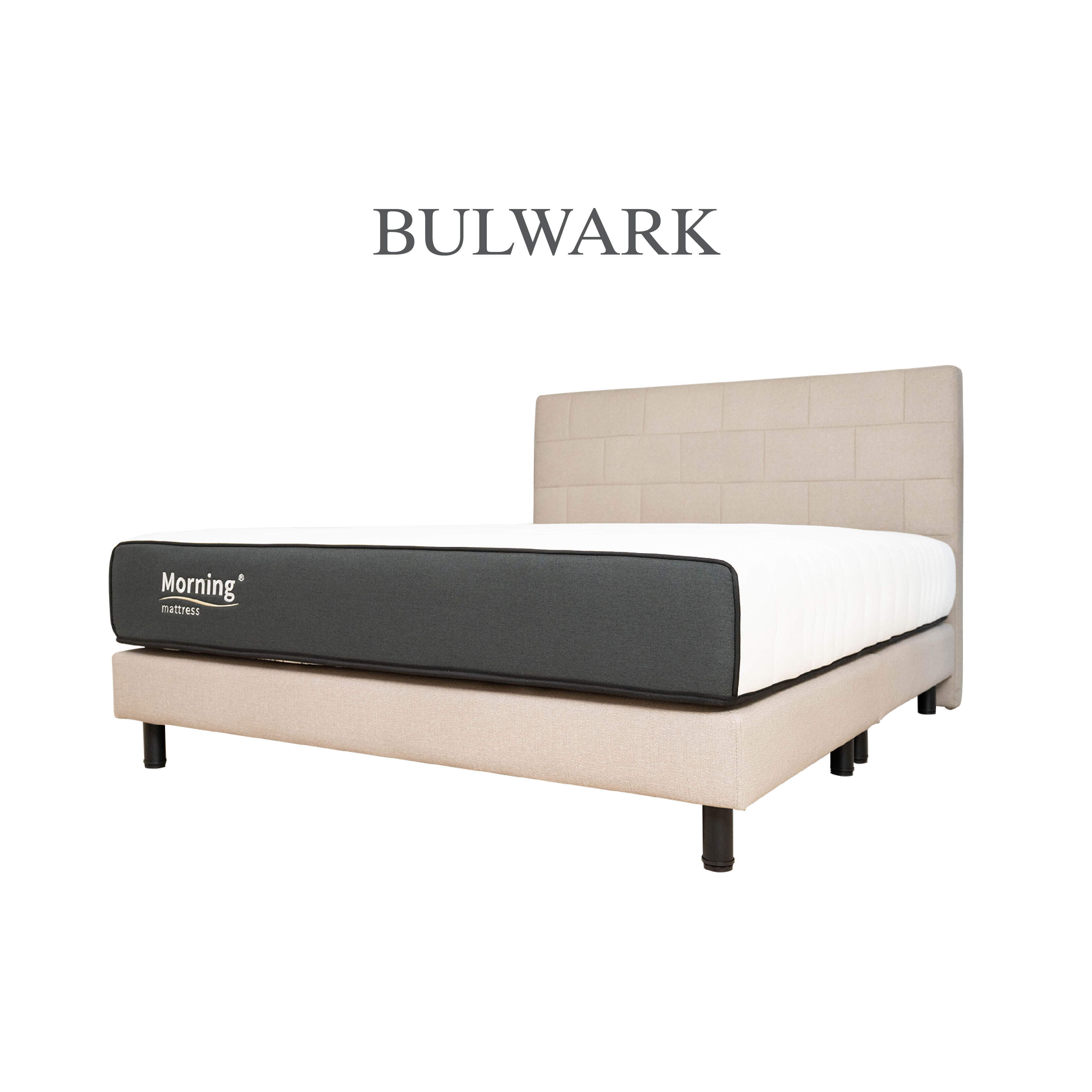 𝐁𝐮𝐥𝐰𝐚𝐫𝐤 堡壘